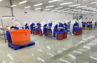 濰品出海行更遠 濰坊市貿促會以跨境電商服務，助力企業揚帆世界商圈