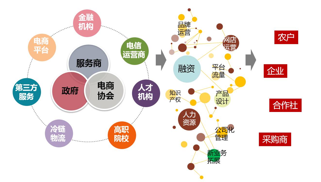 要定位，更要落地 縣域農業電商“麻陽模式”初探